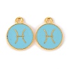 Alloy Enamel Pendants ENAM-S124-01B-16H-1