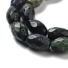 Natural Kambaba Jasper Beads Strands G-P520-C20-01-4