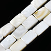 Natural Freshwater Shell Beads Strands SHEL-Q024-013-1