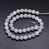 Natural White Moonstone Round Bead Strands G-M262-10mm-04-2