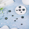 12Pcs 2 Styles Natural Abalone Shell/Paua Shell Beads SHEL-TA0001-40-5