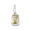 925 Sterling Silver Cubic Zirconia Charms STER-NH0014-01P-08-1