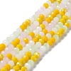 Glass Beads Strands EGLA-A034-M6mm-28-1