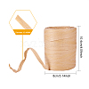 Raffia Natural Rope OCOR-PH0003-39-2