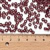 TOHO 6/0 Round Beads X-SEED-TR06-0006B-3