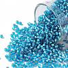 TOHO Round Seed Beads SEED-XTR11-0023BF-1