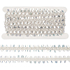 5 Yards Paillette with Glass Seed Bead Ribbons OCOR-BC0007-67B-1
