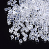 8/0 Two Cut Glass Seed Beads SEED-S033-15A-02-2