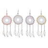 Acrylic Woven Net/Web with Feather Pendant Decorations HJEW-JM02352-1