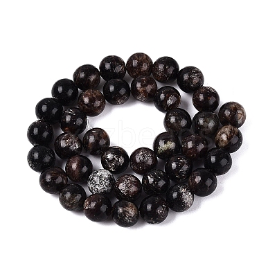 Natural Biotite Beads Strands G-Q616-01D-1