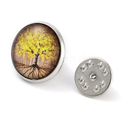 Round Glass Brooches JEWB-A022-02E-1