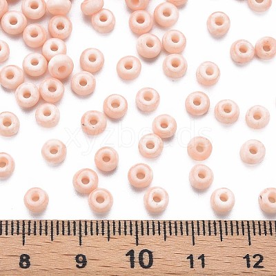 6/0 Glass Seed Beads SEED-T005-14-B02-1