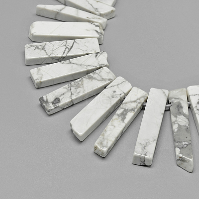 Natural Howlite Beads Strands G-R419-21-1