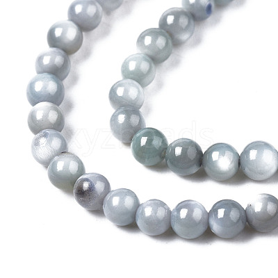 Natural Freshwater Shell Beads Strands BSHE-T009A-01K-1