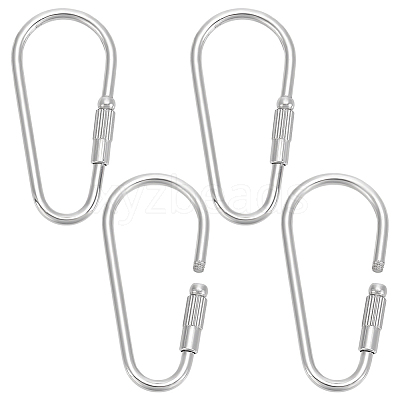 4Pcs 304 Stainless Steel Screw Carabiner Lock Charms STAS-UN0064-01-1