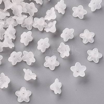 Transparent Acrylic Beads PL554-1