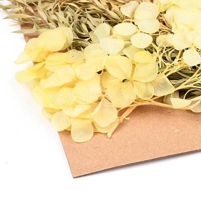 Dried Flower DIY-B018-15-1