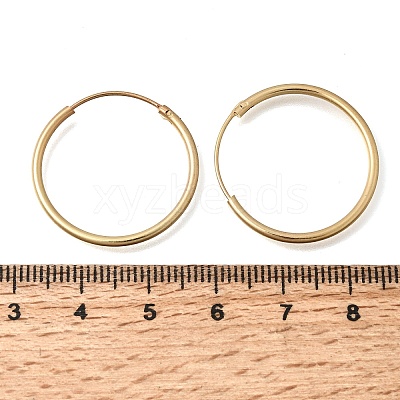 Brass Hoop Earrings EJEW-G474-01G-04-1