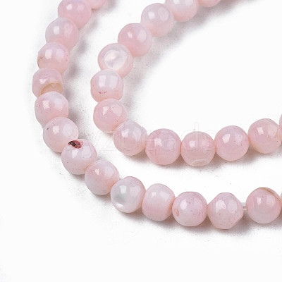 Natural Freshwater Shell Beads Strands X-SHEL-N003-24-B09-1