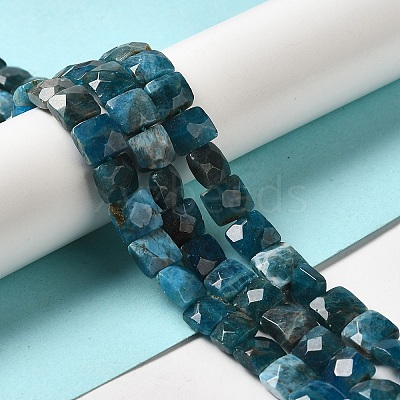 Natural Apatite Beads Strands G-C109-A13-02-1