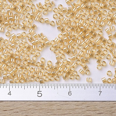 MIYUKI Delica Beads X-SEED-J020-DB0099-1