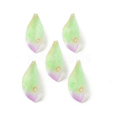Opaque Acrylic Pendants SACR-C006-01C-1