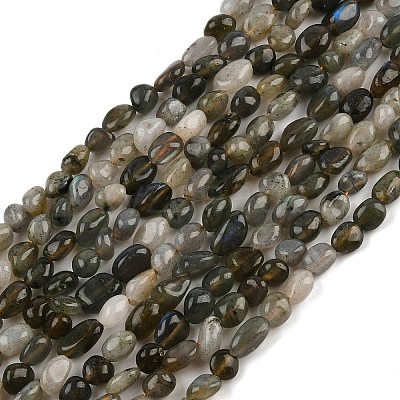 Natural Labradorite Beads Strands G-C250-03-1