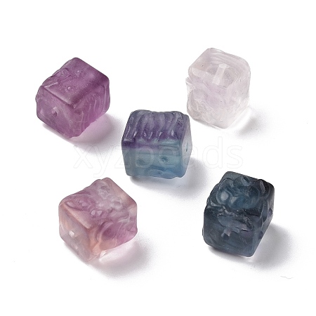 Natural Fluorite Beads G-P483-09-1