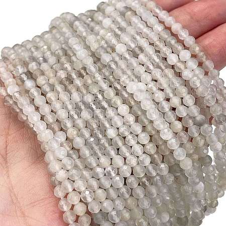 Natural White Moonstone Beads Strands G-Z058-A01-01-1