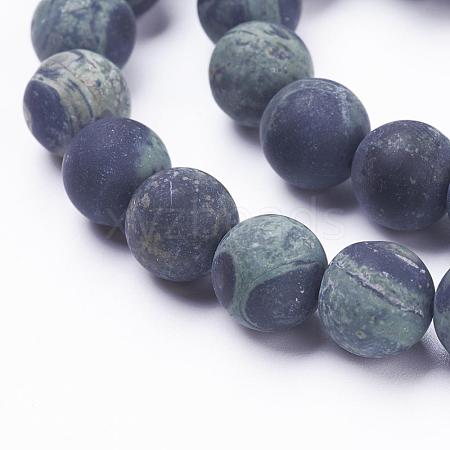 Natural Kambaba Jasper Beads Strands G-F520-53-10mm-1