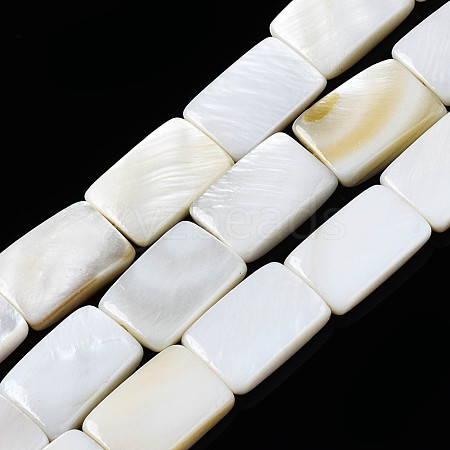 Natural Freshwater Shell Beads Strands SHEL-Q024-013-1