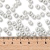 Glass Seed Beads SEED-L011-03A-06-4