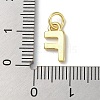 Rack Plating Brass Charms KK-P245-06G-F-3