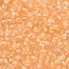 8/0 Transparent Inside Colours Glass Seed Beads SEED-R051-09B-02-2