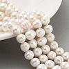 Natural Cultured Freshwater Pearl Beads Strands PEAR-C003-15E-2