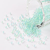 11/0 Grade A Round Glass Seed Beads SEED-N001-E-316-1