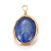 Natural Lapis Lazuli Pendants X-PALLOY-JF00467-04-1