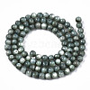 Natural Freshwater Shell Beads Strands SHEL-N003-24-B01-2