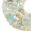 Natural Flower Amazonite Chips Beads Strands X-G-M205-12B-7
