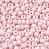 6/0 Glass Seed Beads SEED-S058-A-F405-3