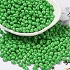 6/0 Opaque Baking Paint Glass Seed Beads SEED-M012-02A-06-1