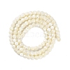 Shell Beads Strands SSHEL-E571-38-4mm-2