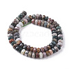 Natural Ocean Jasper Beads Strands G-F668-01-B-2