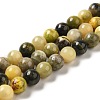 Natural Bumblebee Jasper Beads Strands G-NH0008-01-1