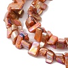 Natural Freshwater Shell Beads Strands BSHE-H018-07D-3