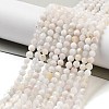 Natural Rainbow Moonstone Beads Strands G-G161-A01-03-1