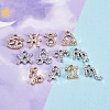 2 Sets 2 Colors Zinc Alloy Pendants ALRI-FW0001-02-5