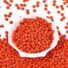 Opaque Colours Glass Seed Beads SEED-Q042-01A-D04-2