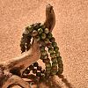 Natural Unakite Bead Stretch Bracelets BJEW-K212-A-006-5