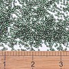MIYUKI Delica Beads X-SEED-J020-DB0690-4